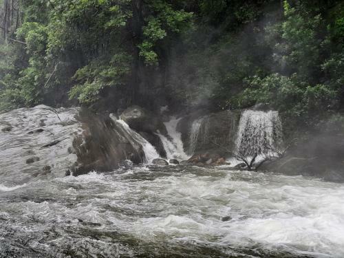 Rosegardens Eco Friendly Homestay,munnar