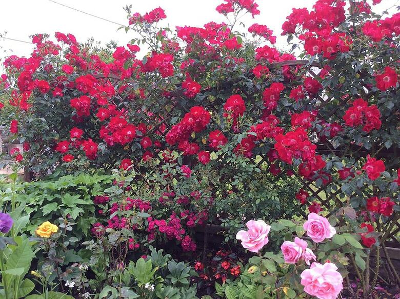 Hostal Quiet Woman House