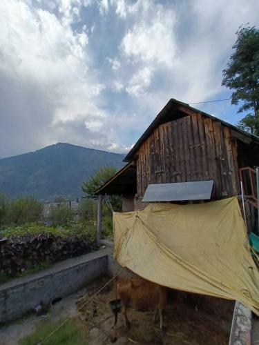 Naggar Homestay