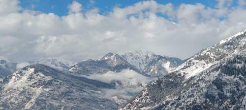 Naggar Homestay