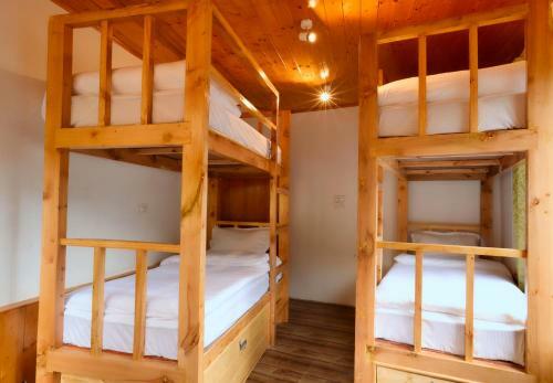 Robinhood Travel Hostel