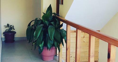 Bed & Breakfast The Himalayan Stay Bnb