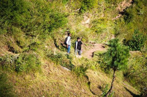 Lodge Bohodyssey Hallan