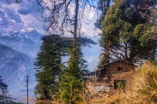 Rustling Pines Cottage Manali