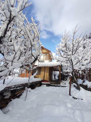 Before Sunrise Cabin