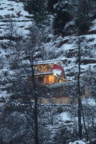 Before Sunrise Cabin