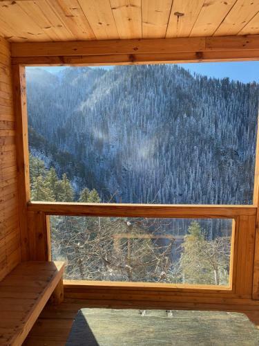 Lodge Skyline Villa Rental