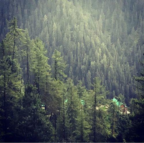 Lodge Skyline Villa Rental