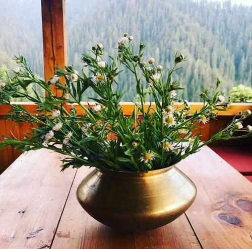 Lodge Skyline Villa Rental