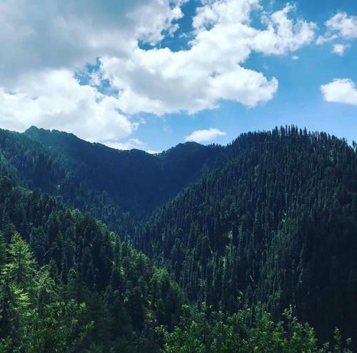 Lodge Skyline Villa Rental