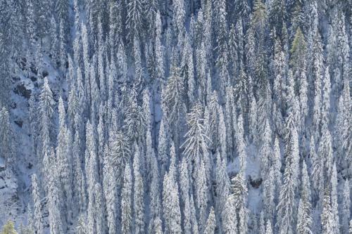 Lodge Skyline Villa Rental