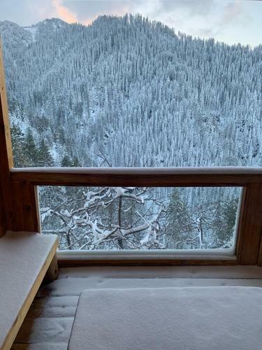 Lodge Skyline Villa Rental