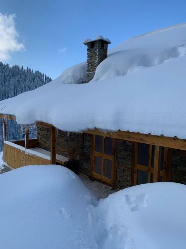 Lodge Skyline Villa Rental