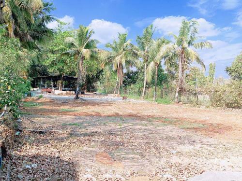 Hotel Sippy Farms & Resorts