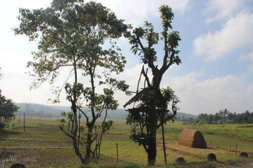 Wayal Wayanad Honey Moon Villa