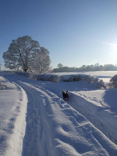 Bank View Self Catering Apartment