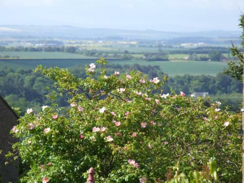 The Coach House Self Catering Apartment
