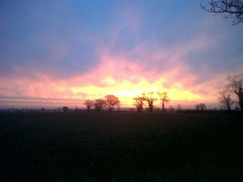 Bed & Breakfast Earsham Park Farm