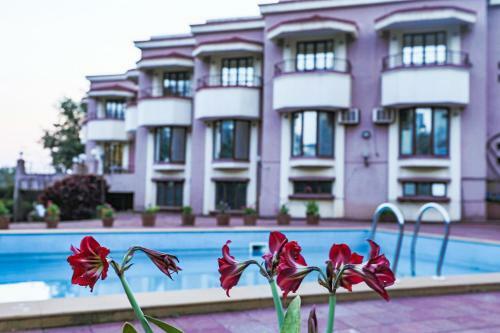 The Dhanhills - A Valley View Hotel In Panchgani