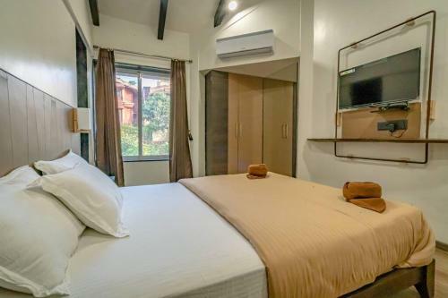 Leisurely Olivia, Panchgani