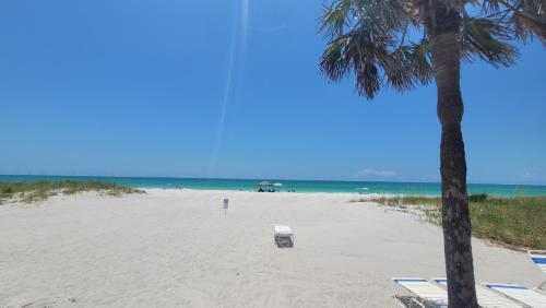 Apartamento Beach Front Condo Paradise. Ground Floor.studio.