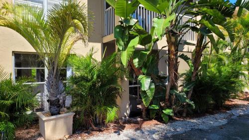 Apartamento Beach Front Condo Paradise. Ground Floor.studio.