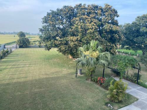 Agroturismo Mango Grove Farm