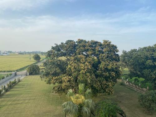 Agroturismo Mango Grove Farm