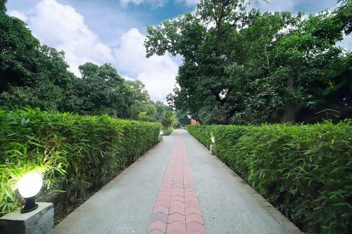 Fabhotel Corbett Green View Garden And Stay