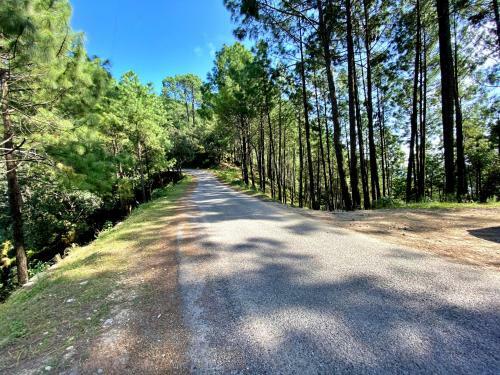 Hotel Avenue 18 Resort