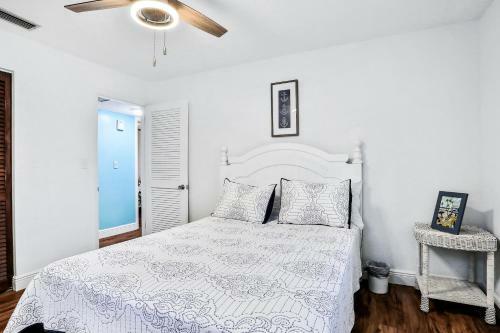 Seaview Dreams