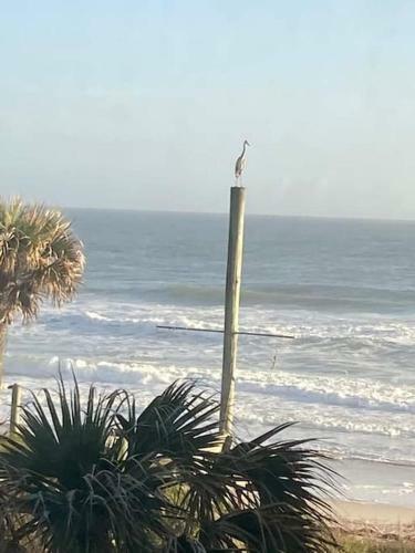 Coastal Soul - Ocean View At Symphony Beach Club