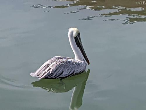 Ocean Oasis At Ocean Pointe