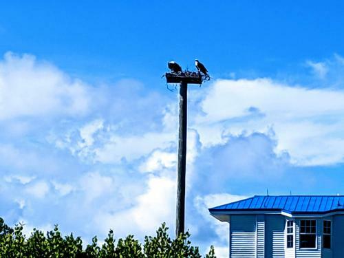 Ocean Oasis At Ocean Pointe