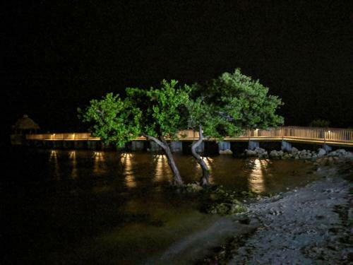 Ocean Oasis At Ocean Pointe