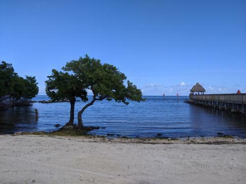 Ocean Oasis At Ocean Pointe