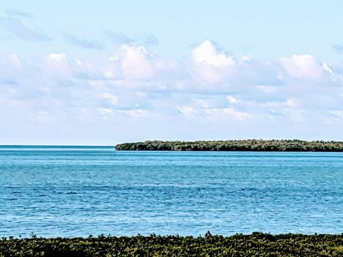 Ocean Oasis At Ocean Pointe