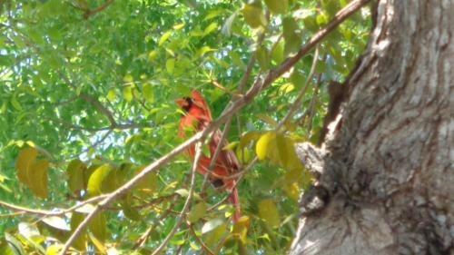 Ocean Oasis At Ocean Pointe