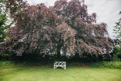 Hostal Broncoed Uchaf Country Guest House
