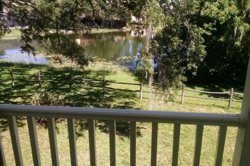Tampa Lakehouse With Tinyhouse