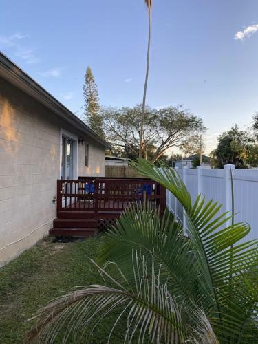 Damandys House Come To Know Tampa Florida