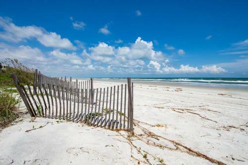 Sand Dollar #205
