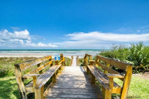 Sand Dollar #205