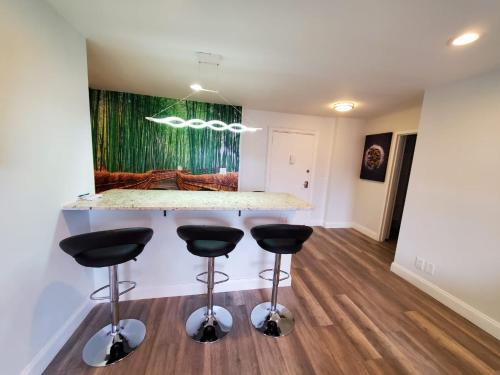 Apartamento Just Renovated 3 Br/2bath/ Parking+ Downtown View