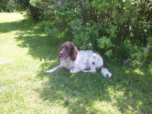 Baytree Bed And Breakfast