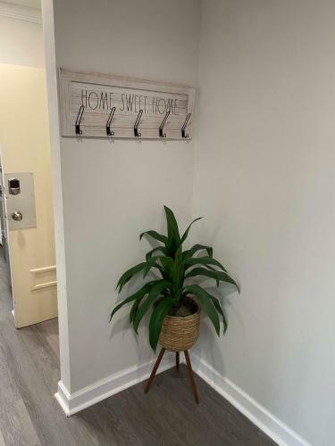 Prime Location In Downtown Atlanta 2 Br With Balcony