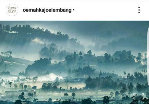 Lodge Oemah Kajoe Lembang
