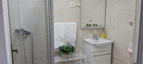 Hostal Casa Ribeirinho No Cora��o Da Natureza