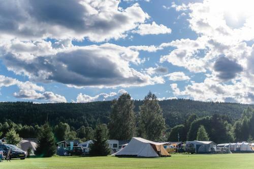 Alevi Camping