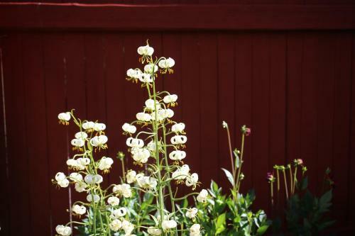 Resursg�rdens B&B